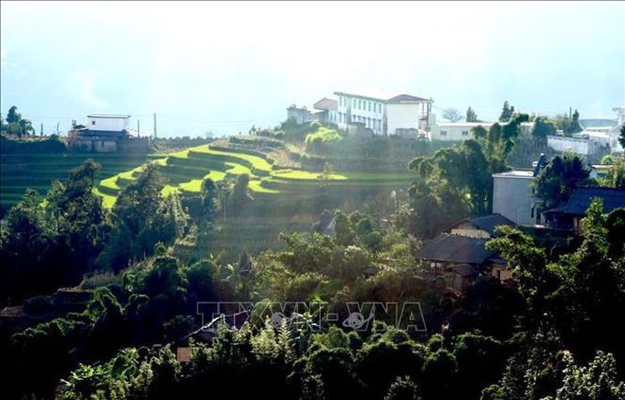 Trong ánh nắng chiều, ruộng bậc thang ẩn hiện giữa núi rừng long lanh ánh vàng tạo ấn tượng với ai đã từng đến vùng biên viễn của xã Sì Lở Lầu (Lai Châu).