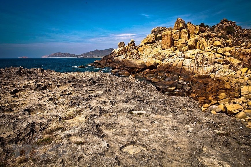 Bãi đá Sao Hỏa- bãi san hô cổ có từ hàng triệu năm về trước trong cụm du lịch Khu dự trữ sinh quyển Núi Chúa. (Ảnh: Trọng Đạt/TTXVN
