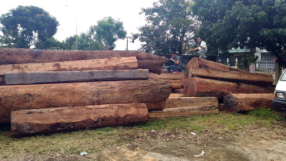 Một vụ phá rừng ở huyện Kbang.