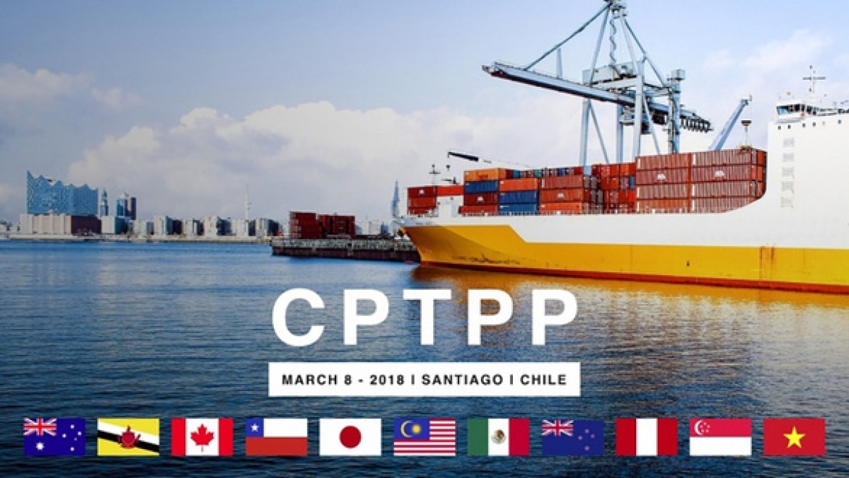 Việc gia nhập CPTPP cần phải có sự phê chuẩn của tất cả 11 quốc gia thành viên hiện nay. (Ảnh: Kelmer)