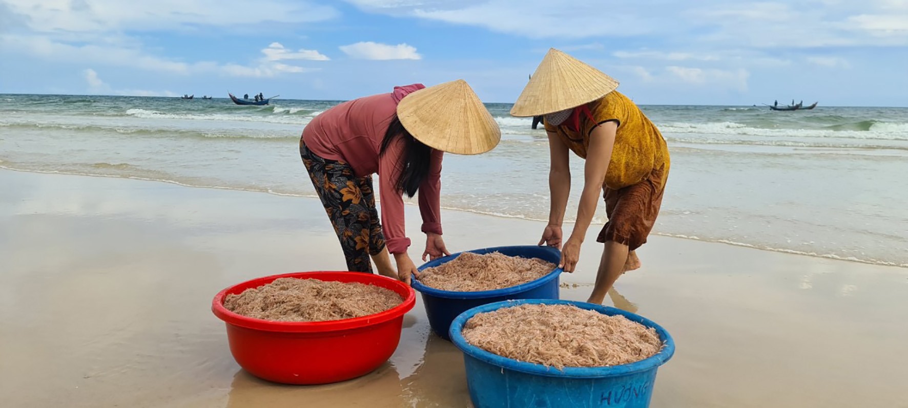 Ngư dân xã Vĩnh Thái khai thác ruốc biển trong sáng 23/9/2021-Ảnh: Nguyễn Trang