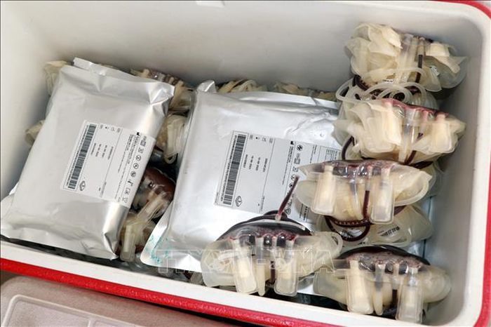 Chương trình hiến máu tình nguyện tại Khu Công nghiệp Bảo Minh (huyện Vụ Bản, tỉnh Nam Định) ngày 18/9 dự kiến thu được hơn 600 đơn vị máu. Ảnh: Văn Đạt/TTXVN