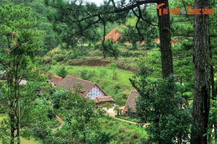 Nằm trong rừng thông dưới chân núi Lang Biang, cách trung tâm TP Đà Lạt khoảng 20 km, làng Cù Lần là một địa danh du lịch rất nổi tiếng của “xứ sở ngàn hoa“.