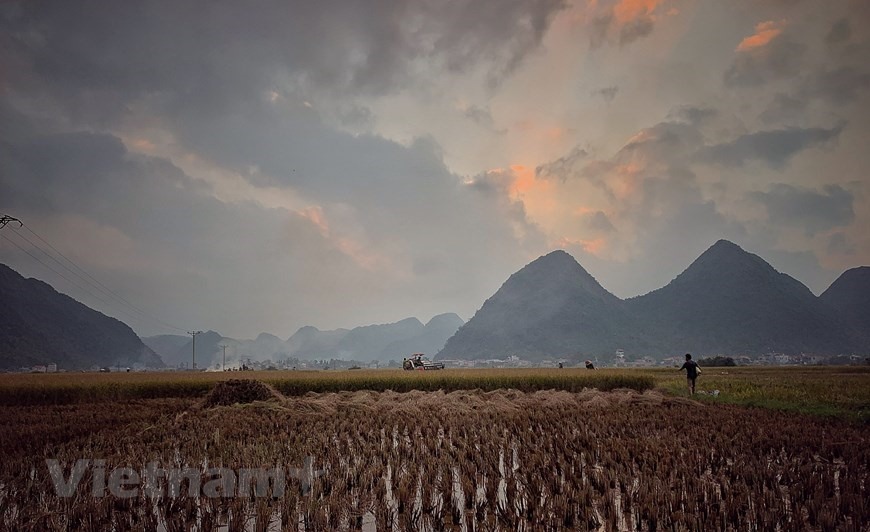 Hoàng hôn dần buông trên những thửa ruộng của vùng cao Lai Châu. Khói từ những đống rơm rạ hòa cùng với làn sương chiều mỏng manh đã vẽ nên một cảnh chiều quê thật yên bình. (Ảnh: Xuân Mai/Vietnam+)