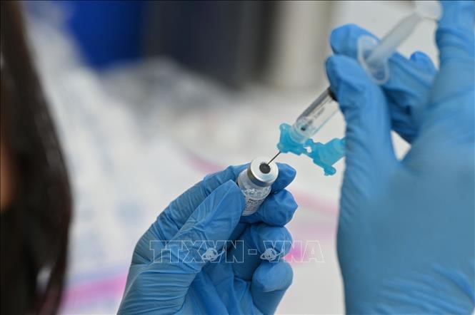 Vaccine ngừa COVID-19 của hãng dược Pfizer. Ảnh: AFP/TTXVN