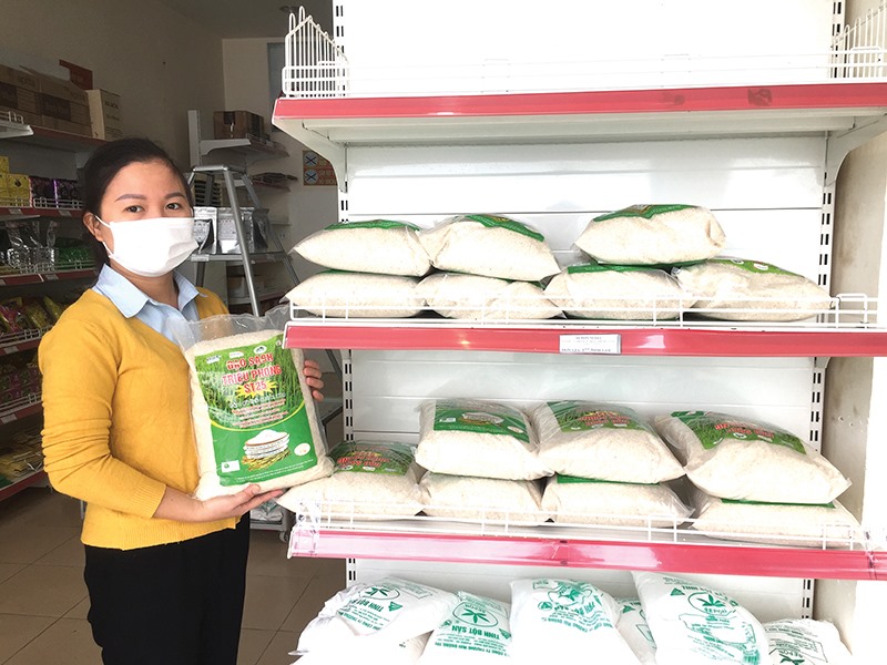 Gạo sạch Triệu Phong đã có mặt tại các siêu thị và được người tiêu dùng quan tâm -Ảnh: Đ.T