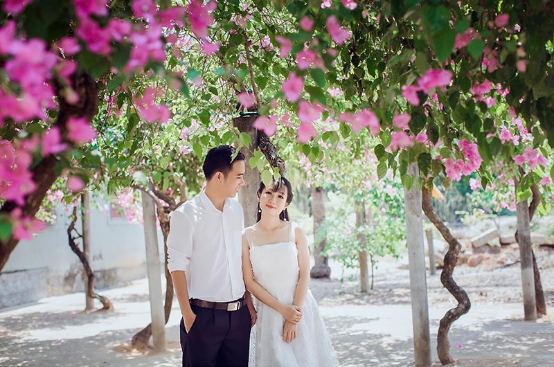 Bức ảnh cưới của con gái ông Nguyễn Ngọc Dự được chụp tại vườn hoa giấy của gia đình -Ảnh: N.B