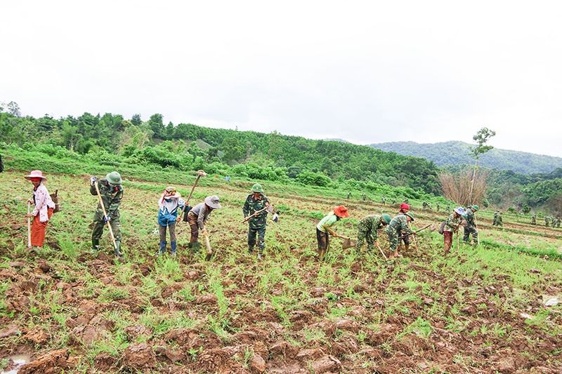 Cán bộ, chiến sĩ Đoàn KT-QP 337 giúp dân xã Hướng Sơn khôi phục diện tích đất trồng lúa nước bị vùi lấp do lũ quét- Ảnh: Đ.P