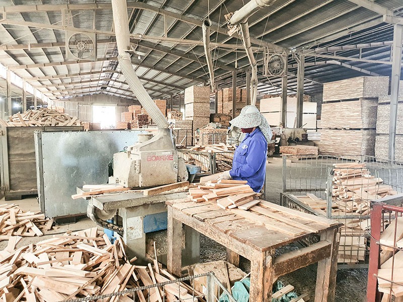 Nguyên liệu gỗ tại các nhà máy chế biến trên địa bàn tỉnh đã thực hiện nghiêm việc truy xuất nguồn gốc - Ảnh: B.B