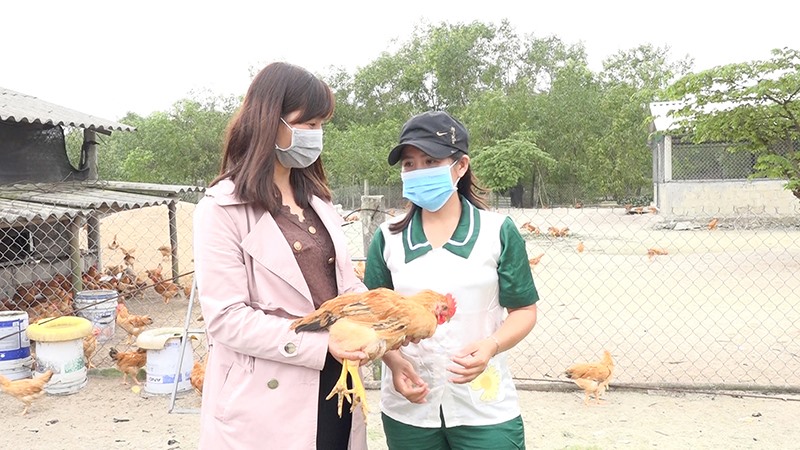Chị Nguyễn Thị Cẩm Mỹ (bên phải) trao đổi về kỹ thuật chăn nuôi gà trên cát với cán bộ phụ nữ xã - Ảnh: HỮU THÁI