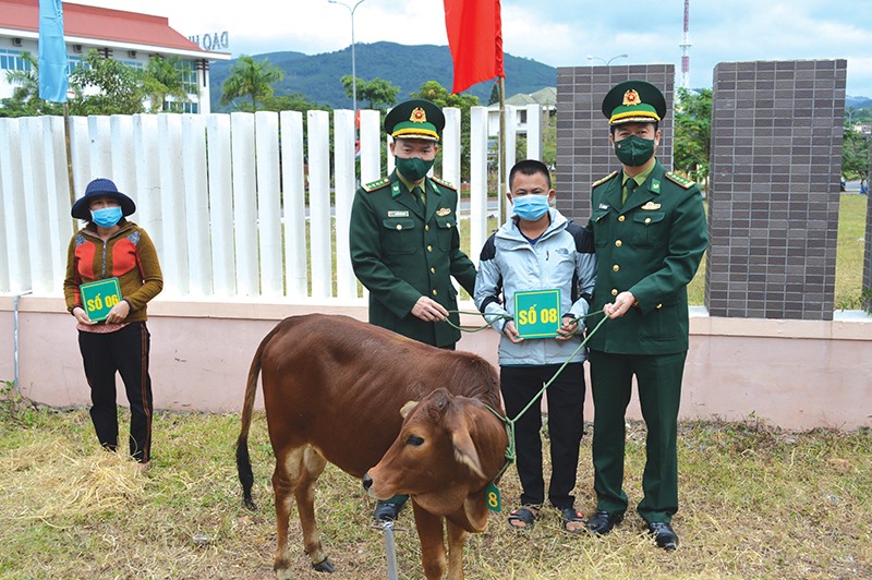 Trao tặng bò giống sinh kế cho các hộ gia đình có hoàn cảnh khó khăn của khóm Duy Tân, thị trấn Lao Bảo, huyện Hướng Hóa - Ảnh: Đ.V