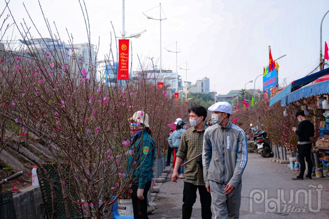 Ghi nhận của PV PNM, chợ hoa Quảng An, Tây Hồ đã bày bán các loại đào và hoa nhiều ngày qua phục vụ người dân mua sắm đào chơi tết Nhâm Dần 2022.