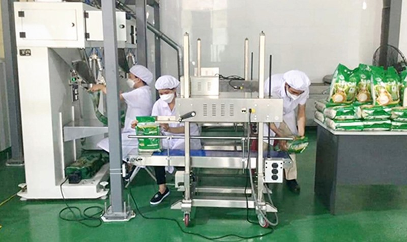 Sepon Group đóng gói gạo hữu cơ bằng dây chuyền hiện đại -Ảnh: K.S​