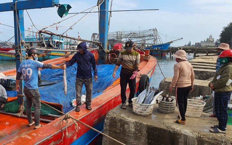 Ngư dân thôn Xuân Lộc trở về sau chuyến biển -Ảnh: H.T.S