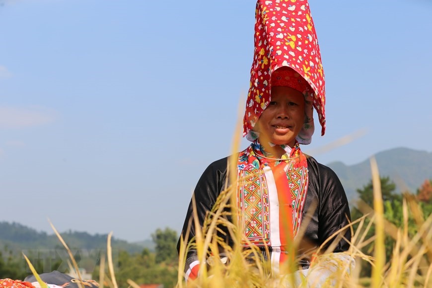Nét đẹp trang phục truyền thống của cô gái Dao Thanh Phán, một trong những sức hút với du khách khi đến Bình Liêu ( Quảng Ninh). (Ảnh: Thanh Vân/TTXVN)