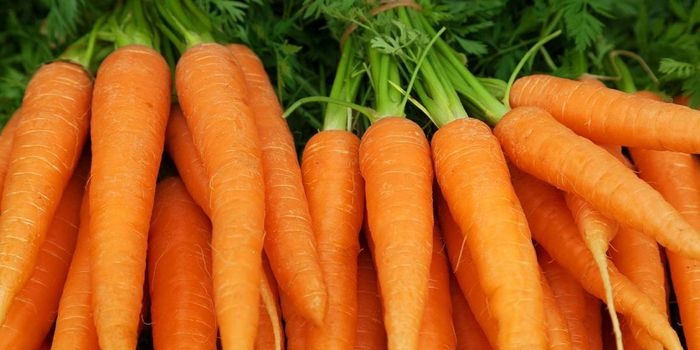 Trẻ em mắc bệnh tiểu đường có thể lựa chọn cà rốt trong chế độ ăn uống hằng ngày vì nó có thể giúp kiểm soát lượng đường trong máu. Mặc dù chứa nhiều carbohydrate nhưng cà rốt rất tốt cho bệnh nhân tiểu đường vì cà rốt không chứa tinh bột.
