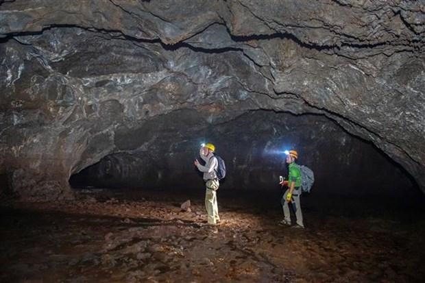 Các chuyên gia phát hiện nhiều nhánh mới trong hang động núi lửa Đắk Nông.