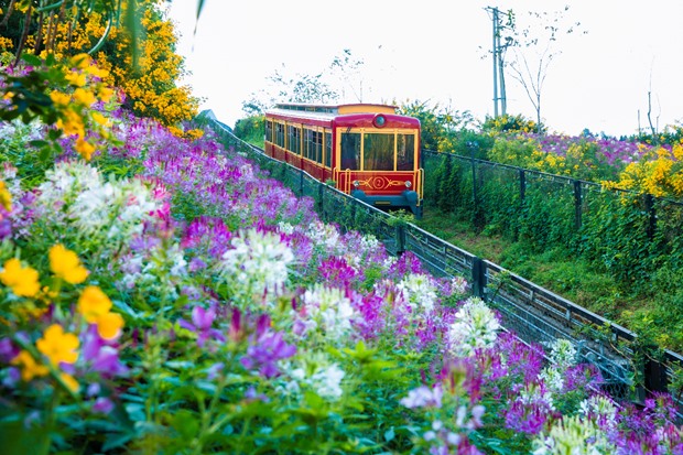Bạn có thể tàu hỏa ngắm vẻ đẹp bát ngát của Thung lũng Mường Hoa hứa hẹn sẽ mang lại cho bạn một góc nhìn mới đầy thú vị.