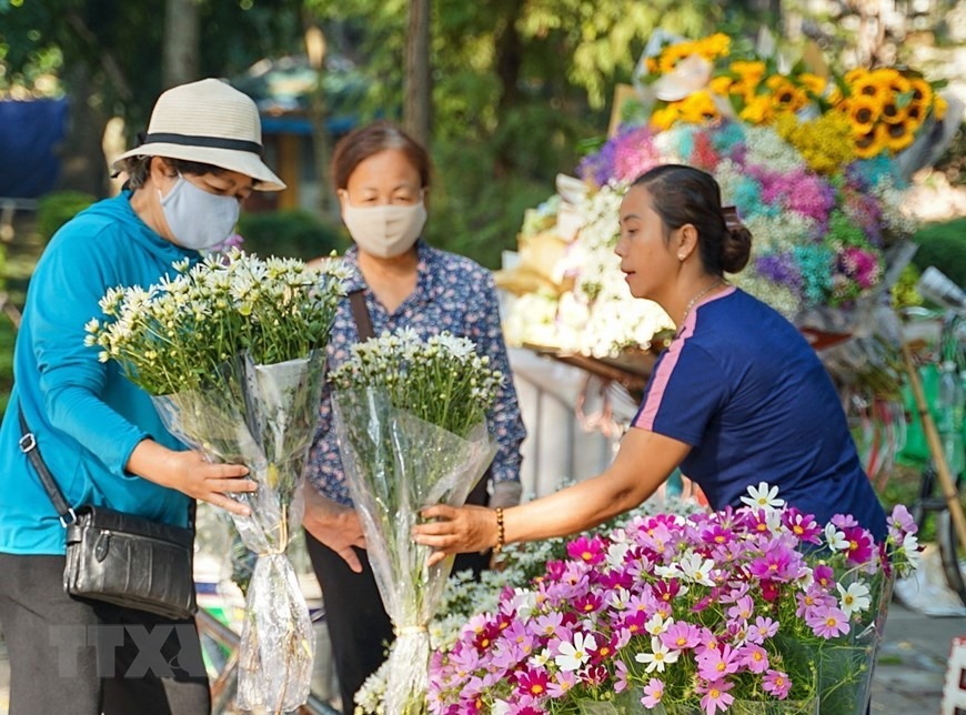 Chỉ cần nhìn cảnh mua hoa cúc hoạ mi của người bán hoa rong là ai cũng biết Hà Nội đang trong tiết trời cuối Thu đầu Đông. (Ảnh: Khánh Hoà/TTXVN)