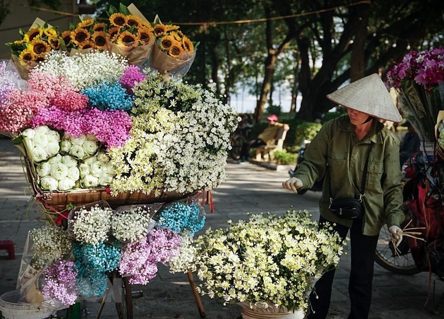 Xe hoa rong có rất nhiều loại hoa đặc trưng theo mùa. (Ảnh: Khánh Hoà/TTXVN)