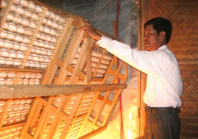Anh Trương Văn Hoàng đã nâng cao hiệu quả sản xuất nhờ cải tiến thành công máy ấp trứng - Ảnh: N.B