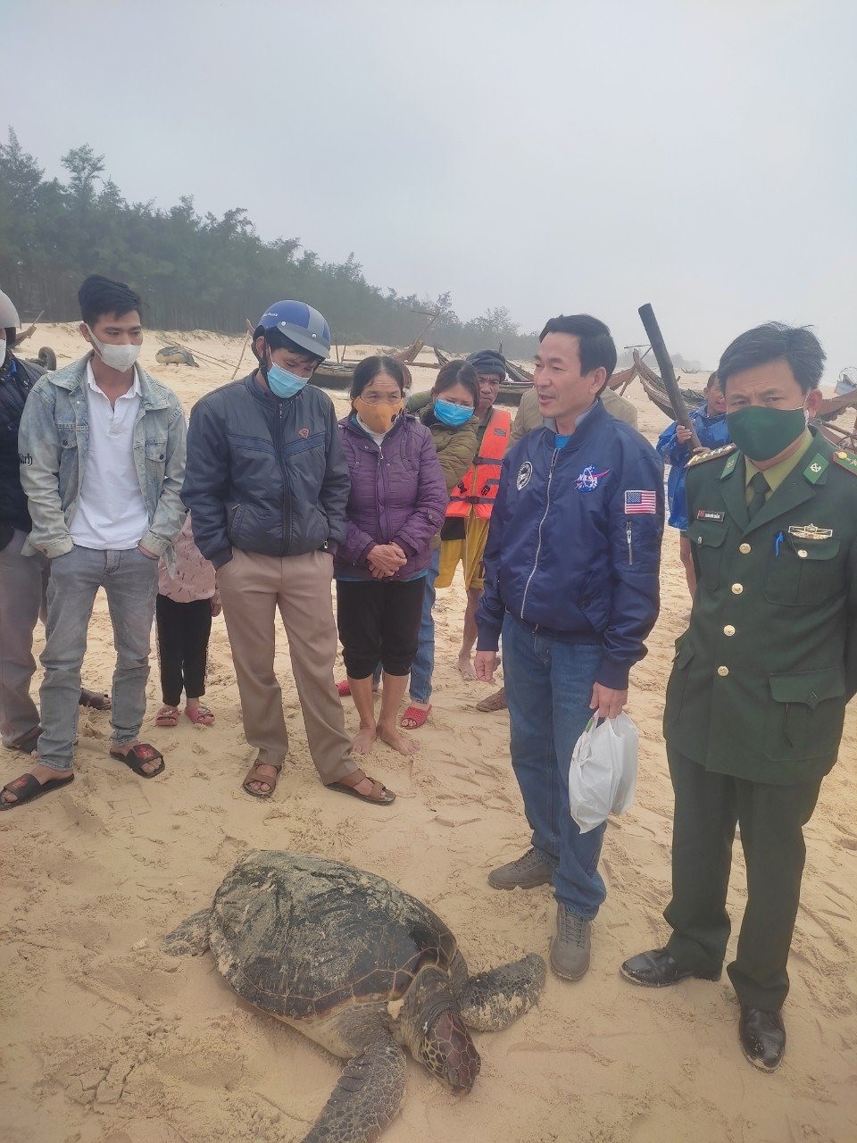 Cá thể rùa biển nặng khoảng 50 kg được người dân xã Triệu Lăng cứu hộ thành công và thả trở về biển - Ảnh: CTV