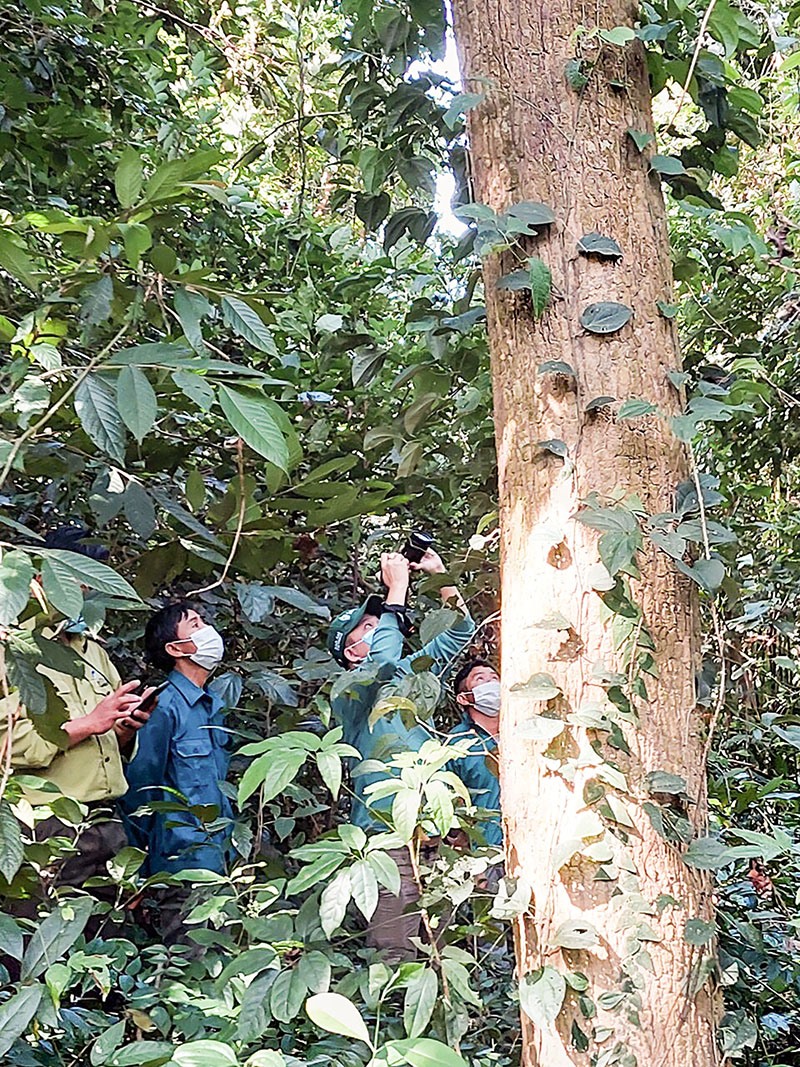Tổ quản lý bảo vệ rừng thôn Ruộng, xã Hướng Tân, Hướng Hóa phối hợp với kiểm lâm địa bàn tuần tra bảo vệ rừng - Ảnh: Đ.P