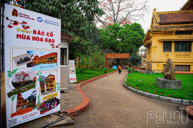Tour “Bác Cổ - Mùa hoa gạo” được thực hiện tại Bảo tàng Lịch sử quốc gia số 1 Tràng Tiền, Hà Nội.