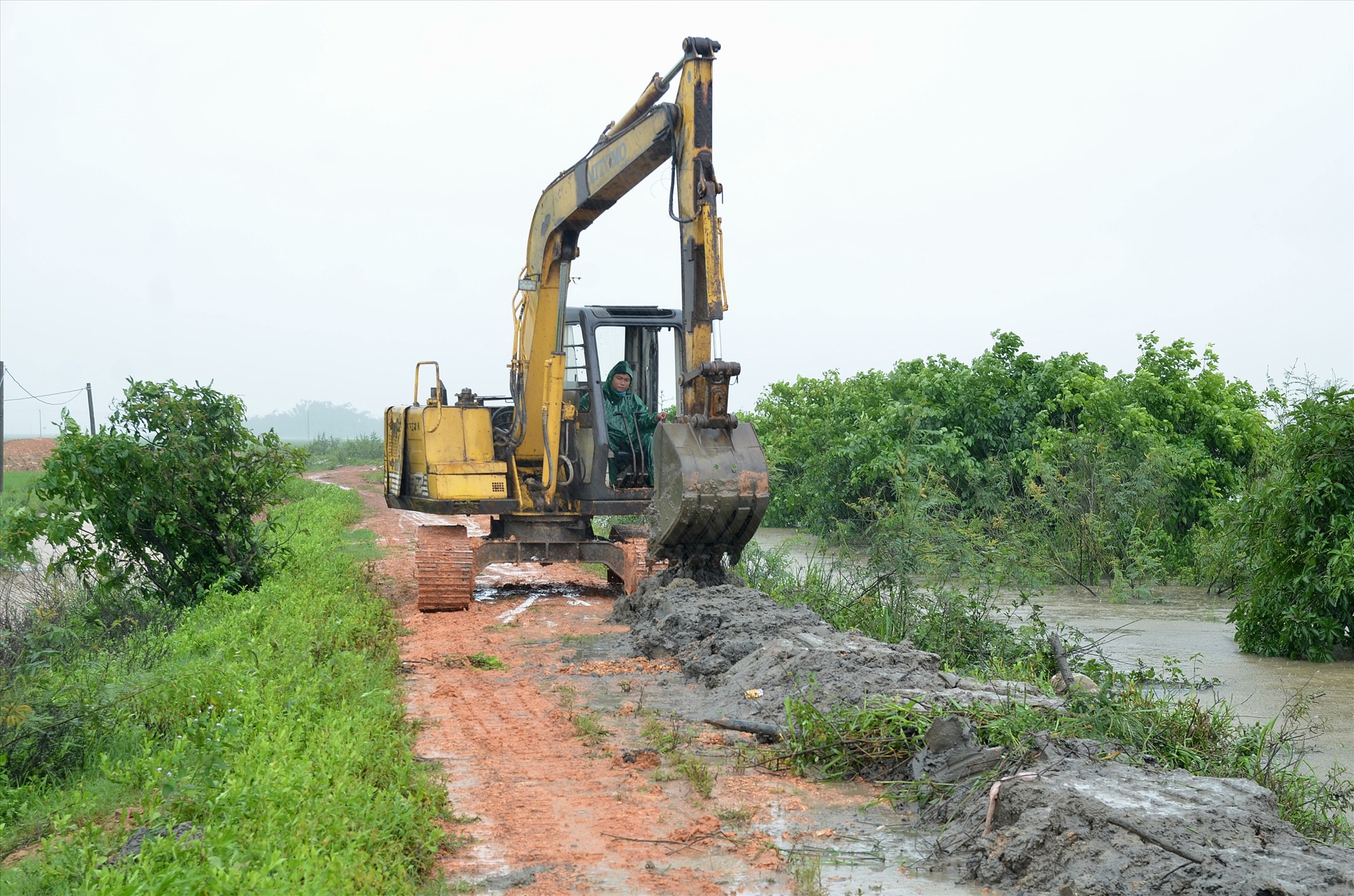 Xã Hải Định đã phải huy động máy múc đất để đắp cao hệ thống đê bao nội đồng nhằm hạn chế nước tràn qua đê bao vào ruộng - Ảnh: L.A
