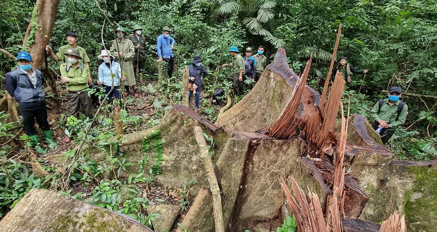 Đoàn công tác liên ngành kiểm tra thực tế hiện trường vụ phá rừng tại Khu Bảo tồn thiên nhiên Bắc Hướng Hóa - Ảnh: T.N