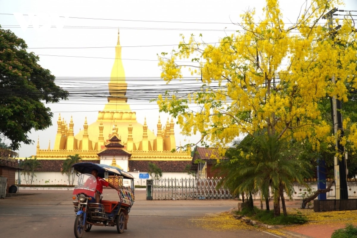 Ngoài quốc hoa Chăm pa, Lào còn có một loài hoa được xem là biểu tượng cho sự may mắn – tiếng Lào gọi là dok khun.