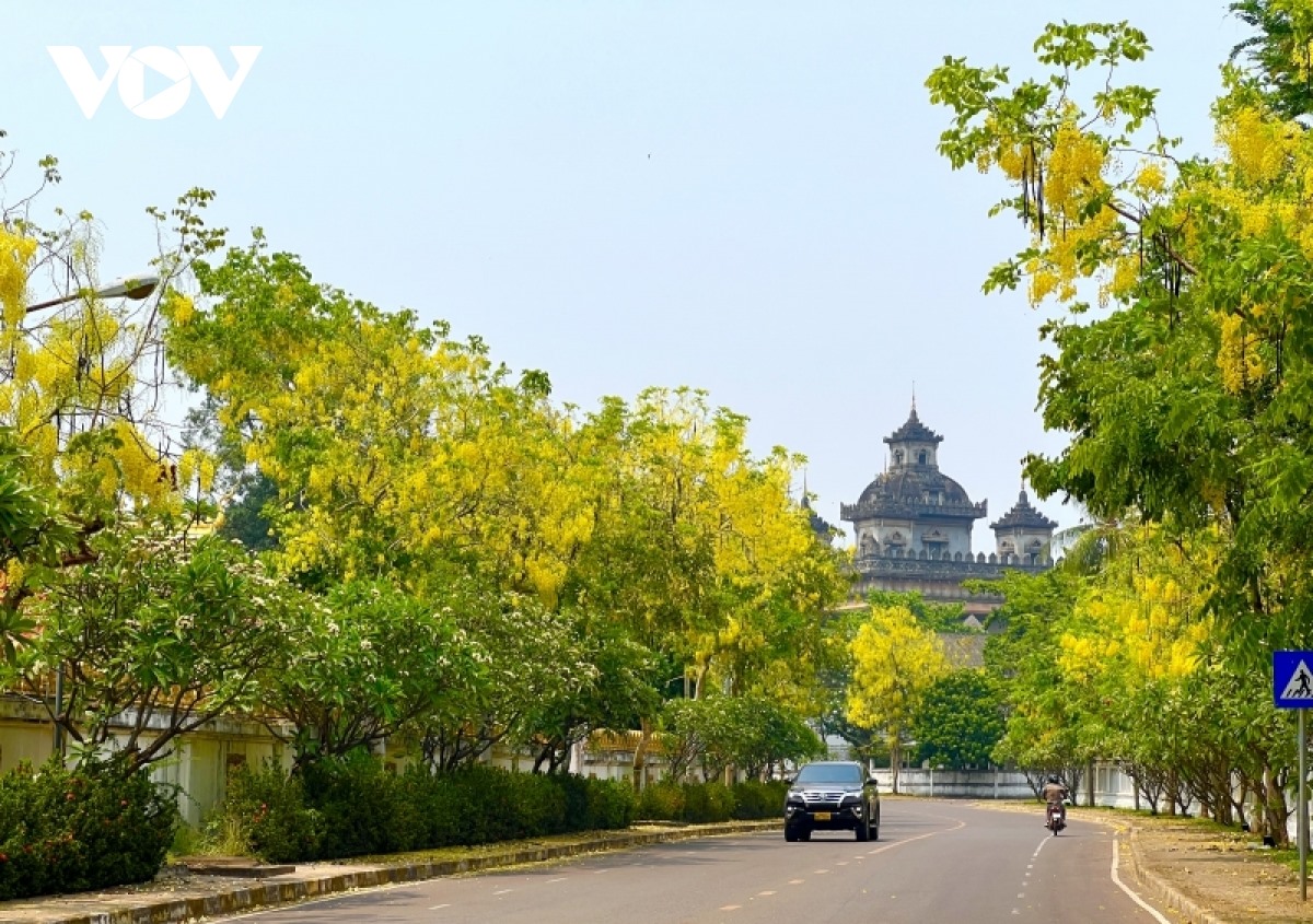 Tháng mùa khô là thời gian dok khun tích lũy năng lượng, đến tháng 4 dương lịch – thời khắc chuyển giao giữa năm cũ và năm mới của Lào, dok khun nở rộ.