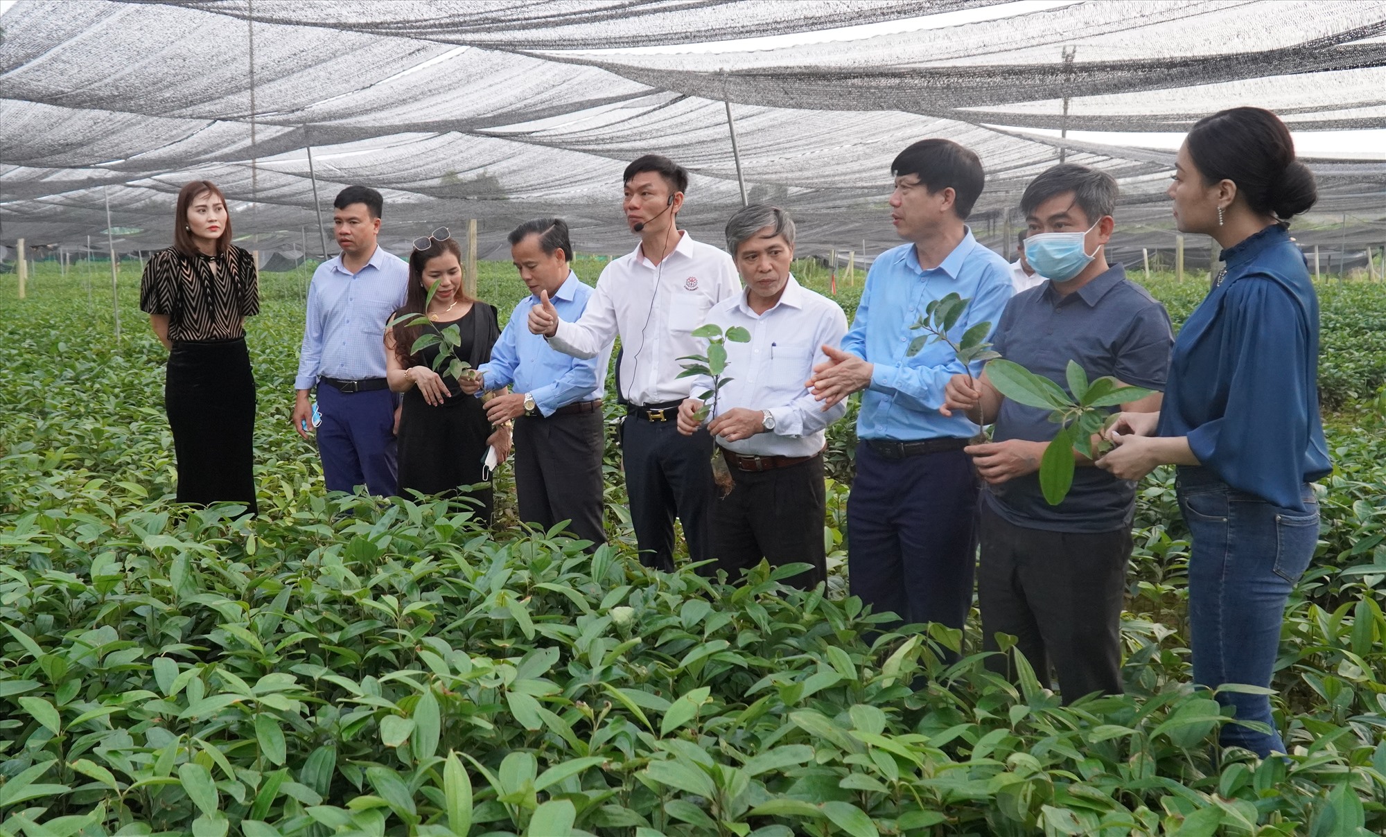 Cán bộ và nông dân huyện Cam Lộ tìm hiểu, học tập kinh nghiệm mô hình ươm quế giống tại tỉnh Yên Bái cuối năm 2021 -Ảnh: Anh Vũ