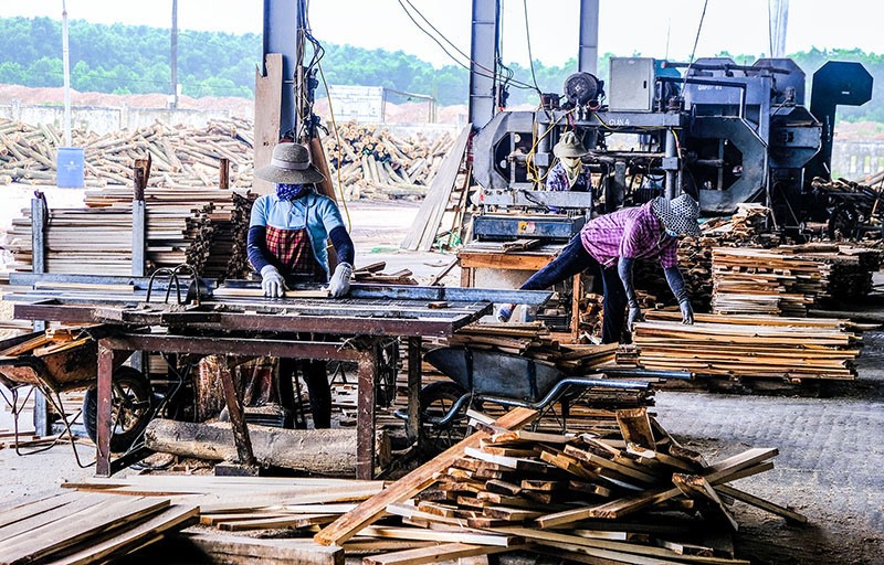 Công nhân Nhà máy sản xuất đồ gỗ xây dựng Hoàng Anh 2 hăng say lao động - Ảnh: T.T