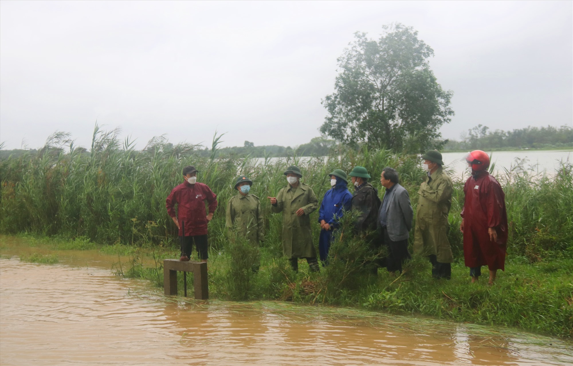 Chủ tịch UBND tỉnh Võ Văn Hưng kiểm tra diện tích lúa bị ngập úng tại xã Triệu Sơn, huyện Triệu Phong - Ảnh: N.B