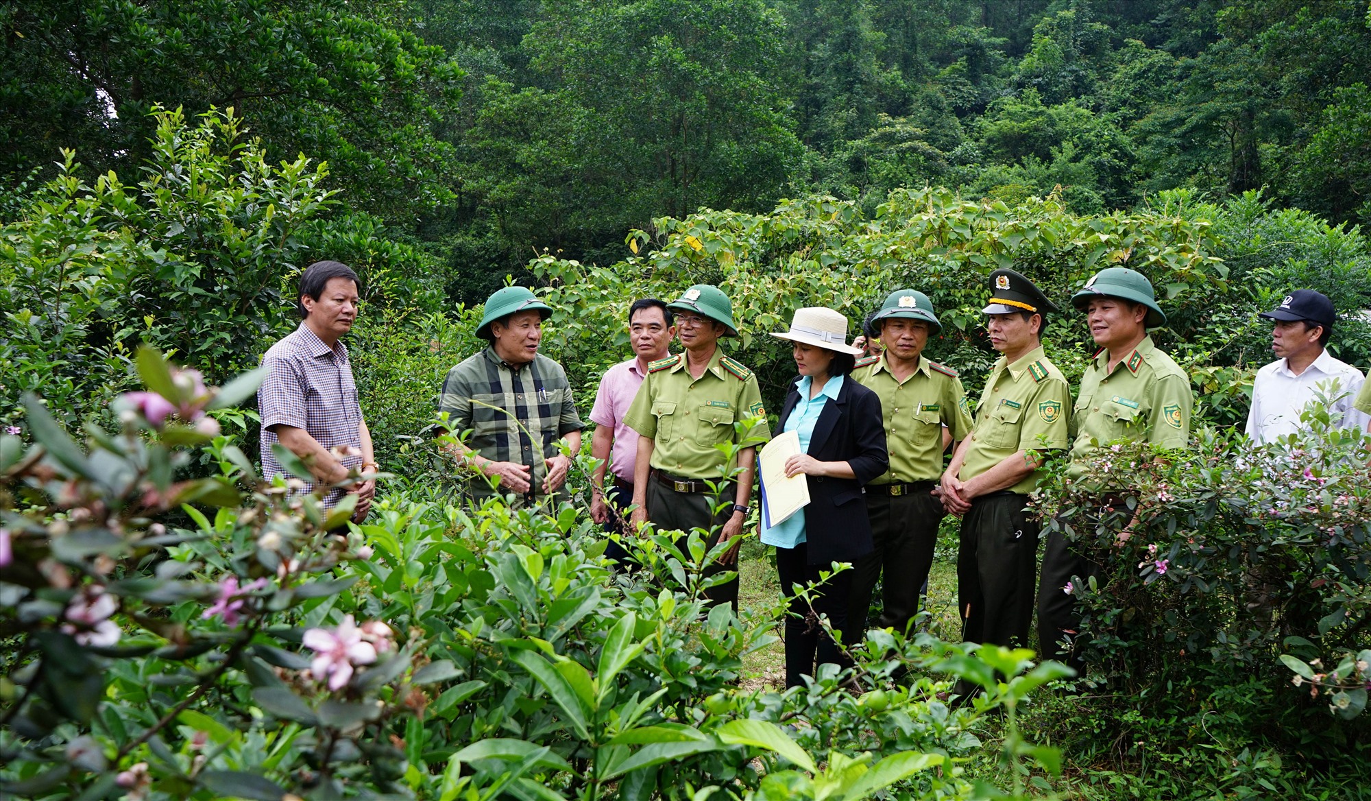 Phó Chủ tịch Thường trực UBND tỉnh Hà Sỹ Đồng kiểm tra công tác quản lý, bảo vệ rừng, PCCCR và trồng cây bản địa tại Khu bảo tồn thiên nhiên Đakrông - Ảnh: L.A