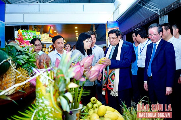 Thủ tướng Phạm Minh Chính cùng các đại biểu tham quan các gian hàng giới thiệu sản phẩm trái cây và sản phẩm OCOP
