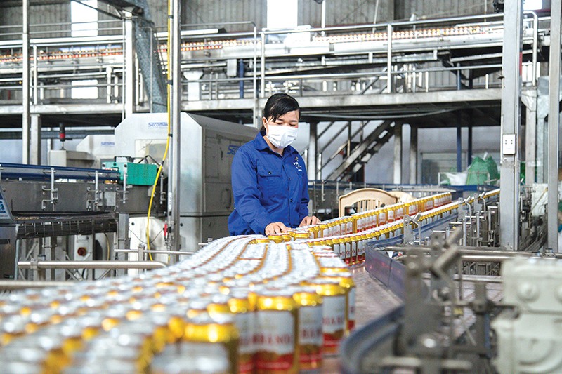 Hằng năm Nhà máy bia Hà Nội - Quảng Trị tạo việc làm ổn định cho khoảng 60-90 lao động địa phương - Ảnh: L.T