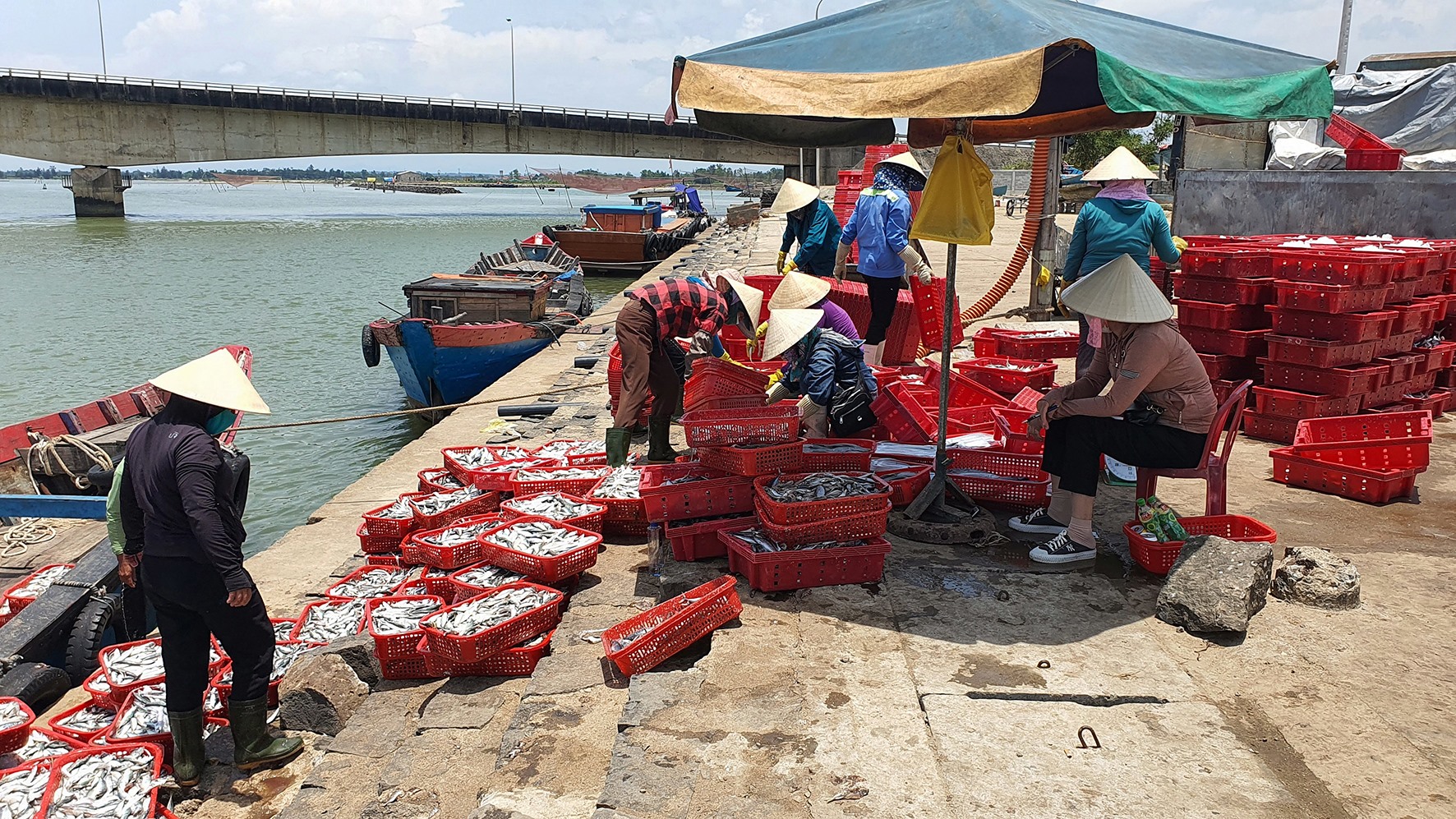 Bốc dỡ thủy sản khai thác tại cảng cá Cửa Tùng - Ảnh: L.A