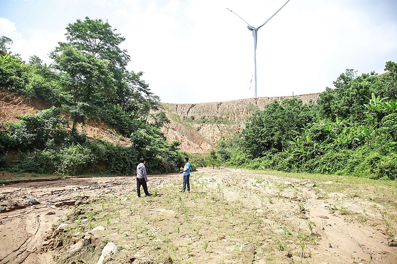 Nhiều ruộng lúa của các hộ dân ở xã Húc bị đất đá từ bãi thải dự án điện gió trôi tràn xuống vùi lấp - Ảnh: L.T