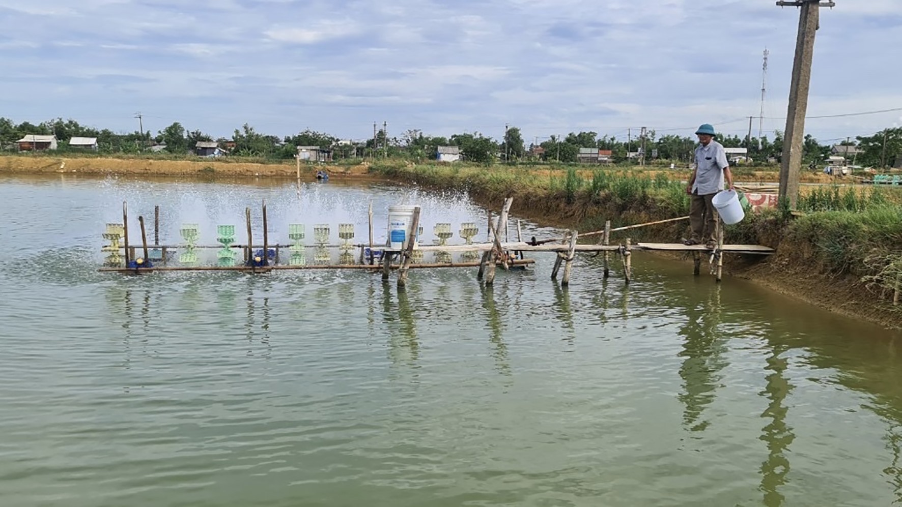 Các hộ nuôi tôm ở Vĩnh Linh thường xuyên kiểm tra để kịp thời phát hiện, xử lý dịch bệnh trên tôm nuôi - Ảnh: Nguyễn Trang