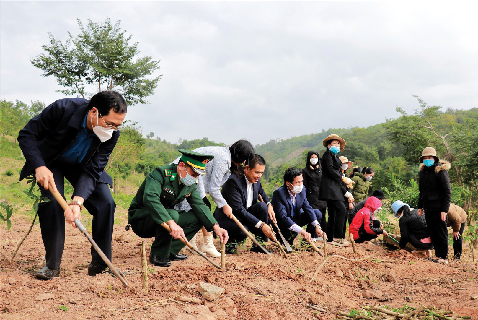 Cùng góp sức trồng hoa dã quỳ ở A Xing, huyện Hướng Hóa - Ảnh: Thiên Sơn