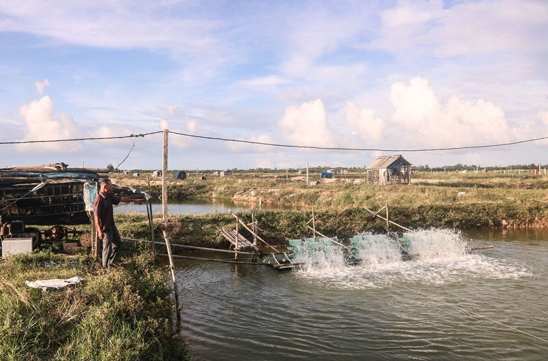 Sử dụng mô tơ điện để vận hành giàn quạt nước đã giúp người nuôi tôm ở thôn Bắc Phước tiết kiệm chi phí và tăng hiệu quả sản xuất - Ảnh: N.B