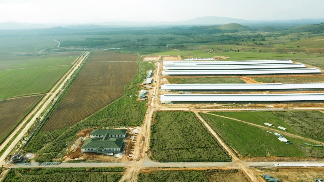 Trang trại đầu tiên trong Tổ hợp bò sữa Lao – Jagro tại Xiêng Khoảng của Vinamilk đã hoàn thành các hạng mục xây dựng cơ bản. (Nguồn: Vinamilk)