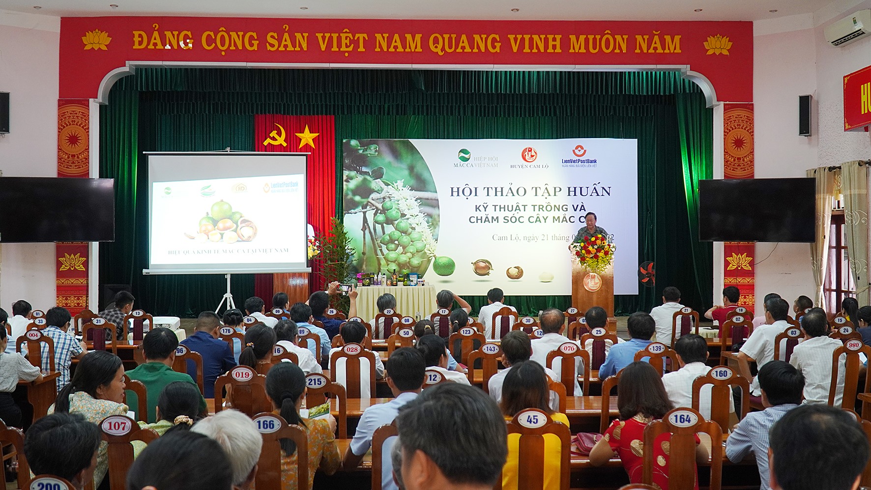 Giáo sư Nguyễn Lân Hùng, Phó Chủ tịch Hiệp hội Mắc ca Việt Nam hướng dẫn kỹ thuật trồng và chăm sóc cây mắc ca -Ảnh: Anh Vũ