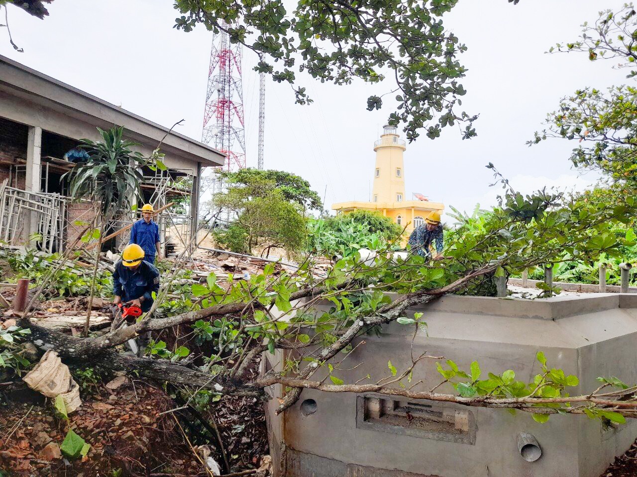 Lực lượng chức năng huyện đảo Cồn Cỏ cắt tỉa cây xanh trước khi bão số 4 đổ bộ