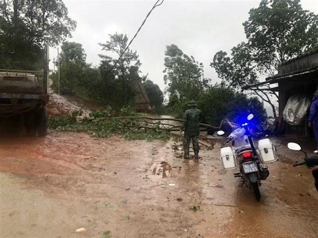 Lực lượng chức năng tại huyện Tu Mơ Rông (Kon Tum) khắc phục cây ngã đổ, làm ách tắc giao thông trên địa bàn. (Ảnh: TTXVN)