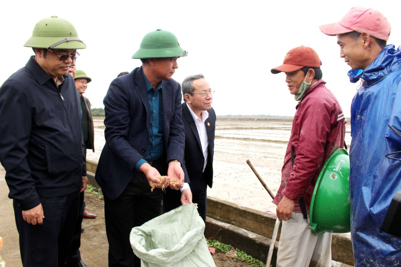 Chủ tịch UBND tỉnh Võ Văn Hưng hỏi thăm nông dân về tình hình sản xuất - Ảnh: T.T
