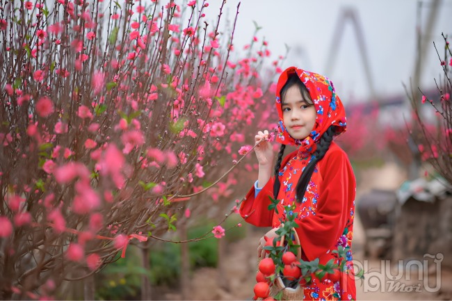 Hai mẹ con nhà chị Minh và bé Minh Anh cho biết: Năm nào mùa đào 2 mẹ con cũng phải diện đồ xinh xinh ra vườn chụp bộ ảnh làm kỷ niệm.
