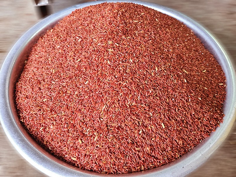 Gạo Bát đỏ Vĩnh Giang trở thành đặc sản -Ảnh: L.T